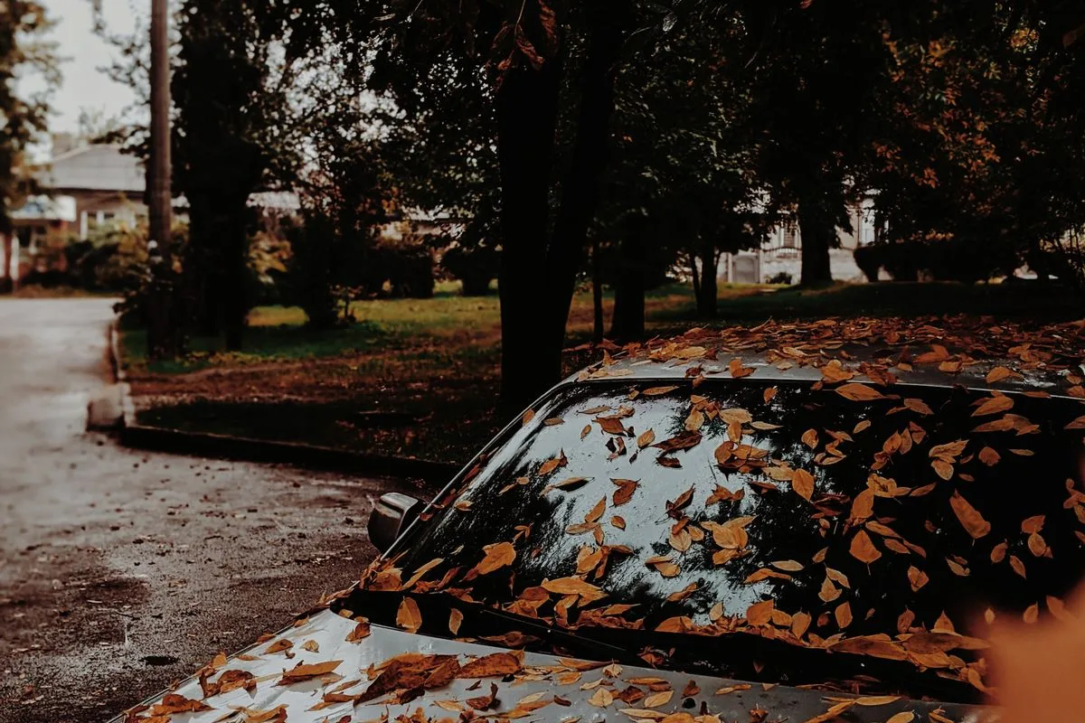 Une voiture stationnée avec des feuilles accumulées sur le pare-brise