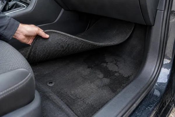 Moquette humide du plancher passager